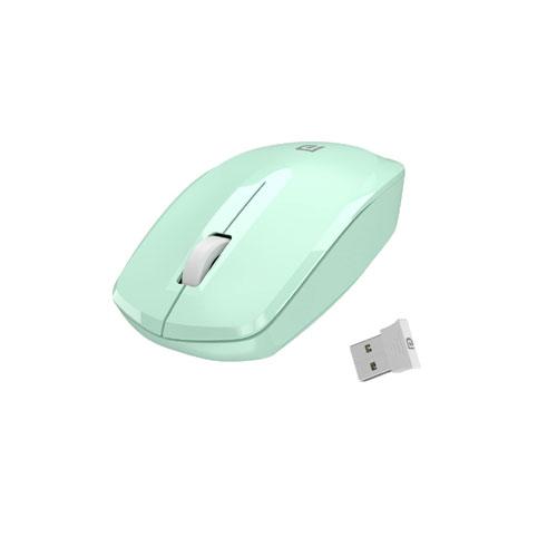 Portronics Toad 25 1200 DPI Wireless Mouse price in hyderabad, telangana, nellore, vizag, bangalore